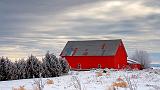 Red Barn In Winter_52596